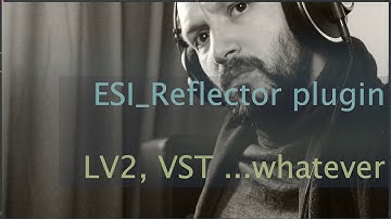 ESI_Reflector plugin: LV2, VST ...whatever