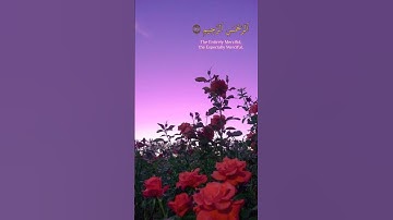 Surah Fatiha| 🌹سوره الفاتحة‎🌹With English translation|By Mishary-rashid-alafasy