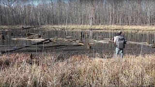 Potato Creek State Park - Large Format Film Photography with 8x10 Camera