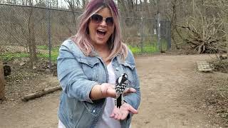 Feeding Birds at Royal Botanical Gardens ~ Hendrie Valley Sanctuary Cherry Hill Gate Trail