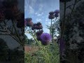 Gardening