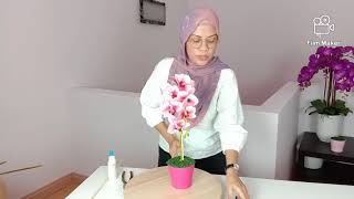 Simple but Nice !! Single Stalk Mini Phalaenopsis Arrangement