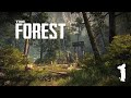 ТОЛЬКО Я МОГУ ИГРАТЬ ПОСЛЕ 2 ФОРЕСТА В ПЕРВЫЙ/ПРОХОДИМ С ДРУЗЬЯМИ ФОРЕСТ/СТРИМ ПО ФОРЕСТУ
