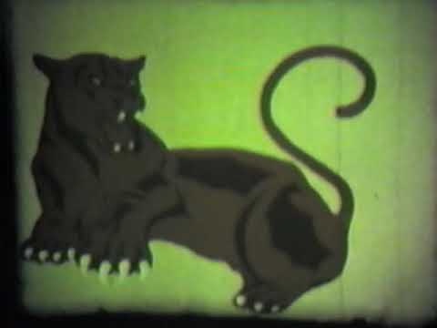 Video of 1984-85 school year at Stigler High School