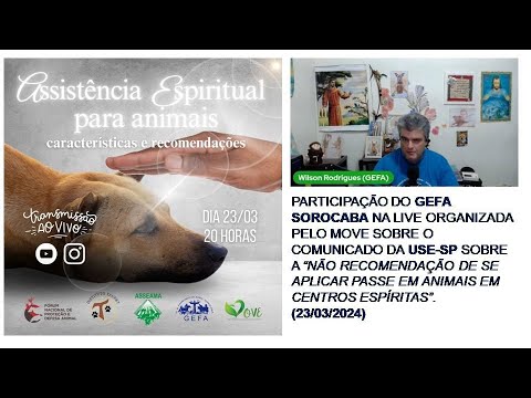 Assista: Participação do GEFA SOROCABA na LIVE promovida pelo MOVE (23/03/2024)