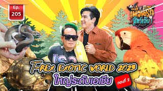 T - Rex Exotic World 2023 ใหญ่ระดับเอเชีย I เพื่อนรักสัตว์เอ๊ย Ep.205 Part2