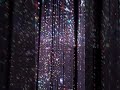 Sparkling Lights Digital Art Museum Tokyo Sparkling Lights Digital Art Museum Tokyo