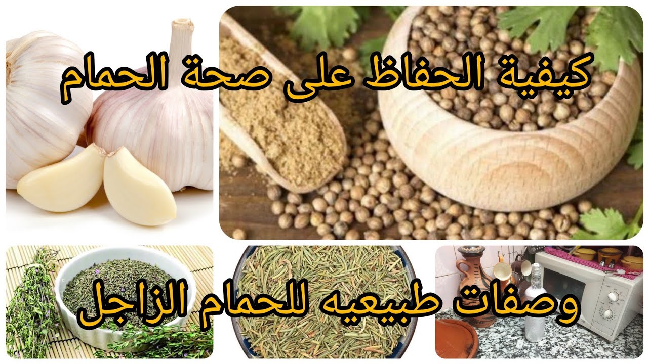الجهاز 👀التنفسي +الجهاز💪 الهضمي+بروتين. .🤔🙏..... طريقة الحفاظ عليهم كلشي طبيعي وغير مكلف🇲🇦🇲🇦