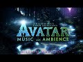 Avatar  relaxing music and ambience of pandora  william maytook