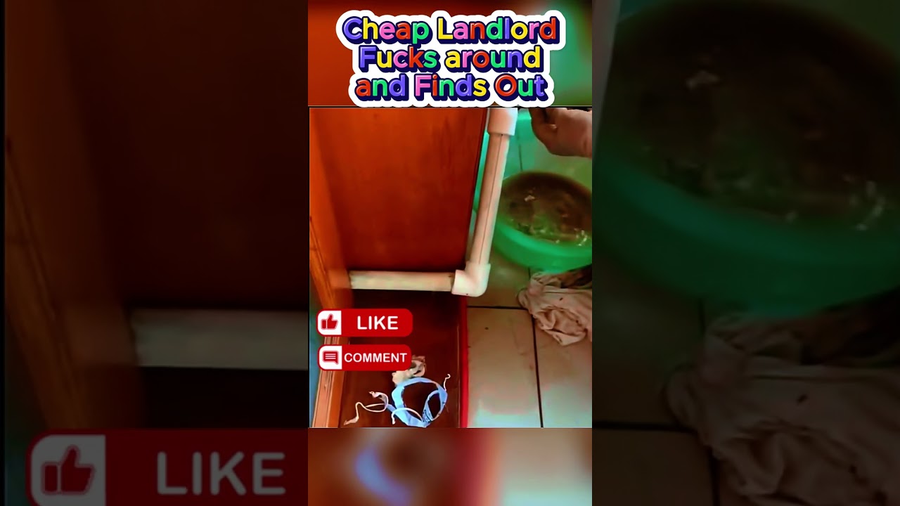 CHEAP Landlord Finds Out Why Plumbers Have To Be Licensed By The State