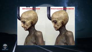 4chan mystery   is this the first  leaked  image of a real alien