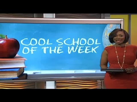 Addlestone Hebrew Academy Cool School Award