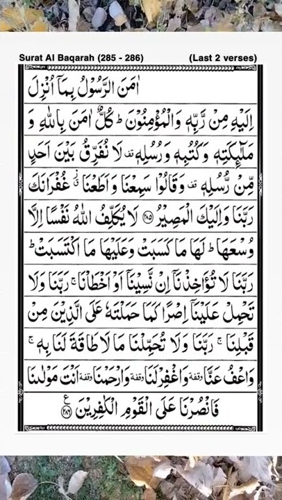 Surat Al Baqarah (285-286)