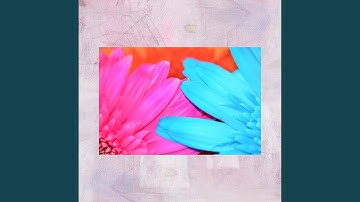 Relaxed Backdrops for Simmer Down Flashbacks