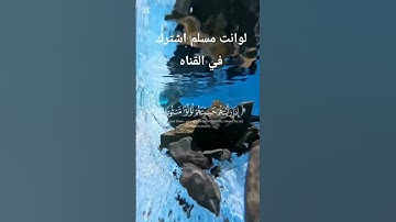 قران كريم راحه نفسيه بصوت القارئ محمد اللحيدان سوره الانسان الايه رقم ١٨. #المصحف #لايك #اكسبلور