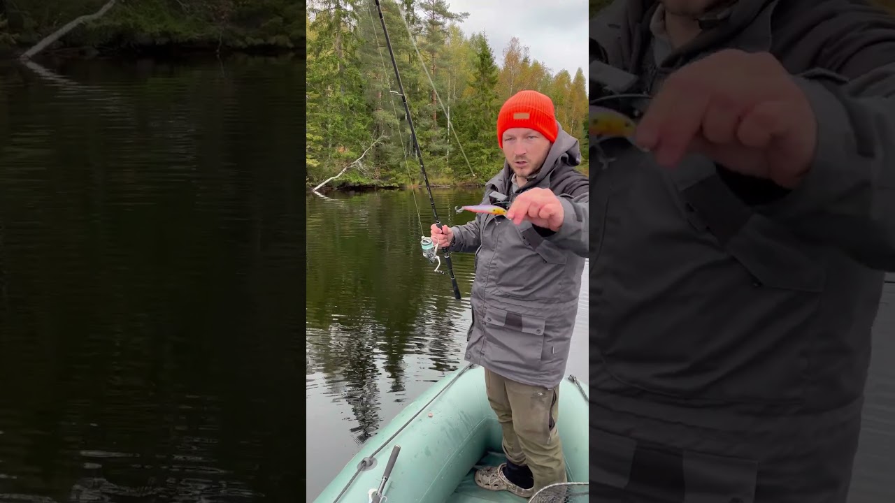 Die Schnur für jeden Raubfischangler GR8