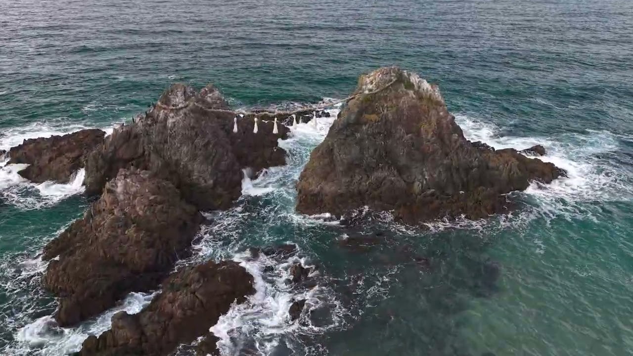 2025 Dec 16 itoshima 絲島市 