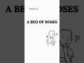 idiom 35. "A bed of roses".       #youtubeshorts