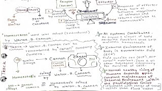 Homeostasis Part-2