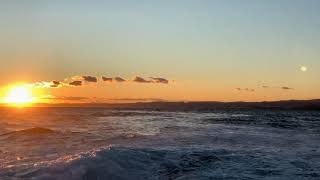 Birds Sounds | Real Nature Sounds | Sleeping Music | Spa | 4k Video