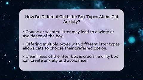 How Do Different Cat Litter Box Types Affect Cat Anxiety? - Happy Cat Handbook