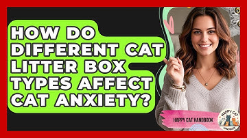 How Do Different Cat Litter Box Types Affect Cat Anxiety? - Happy Cat Handbook