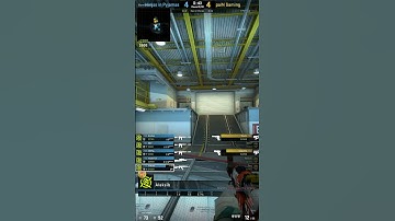 ALEKSIB ACE VS ECO | Ninjas in Pyjamas vs paiN Gaming