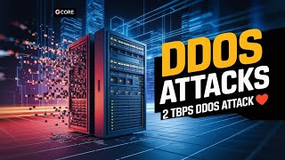 2 Tbps Attacks! The Real State of DDoS in Late 2024