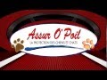 The wouarf jingle de l emission d assur o poil la mutuelle des animaux