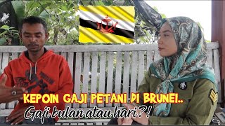 TERNYATA SEGINI GAJI DI BRUNEI - JOB TUKANG KEBUN BRUNEI