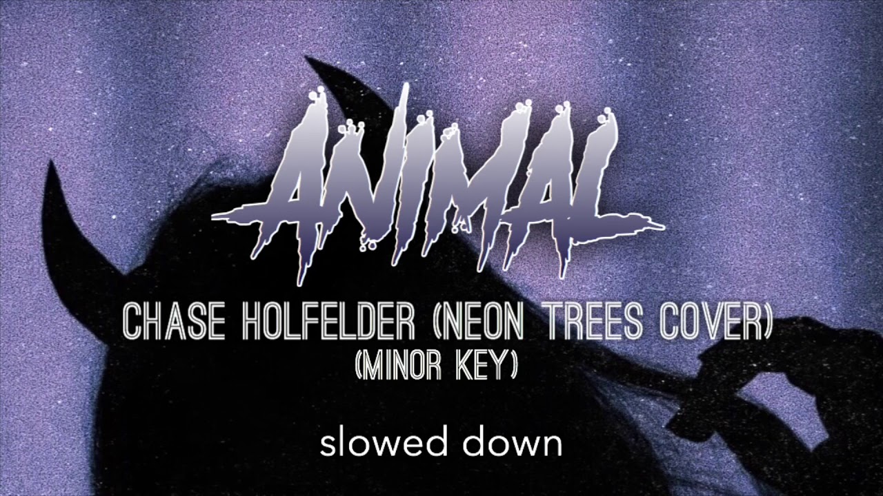 Animal Chase Holfelder (Neon Trees Cover [Minor Key]) (slowed down