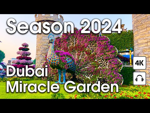 Dubai Amazing Miracle Garden New Season 2024