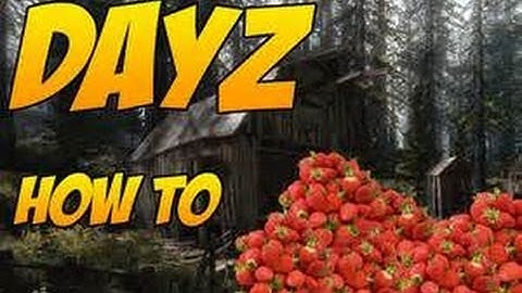 How To Download DayZ Standalone™ For Free, With Multiplayer