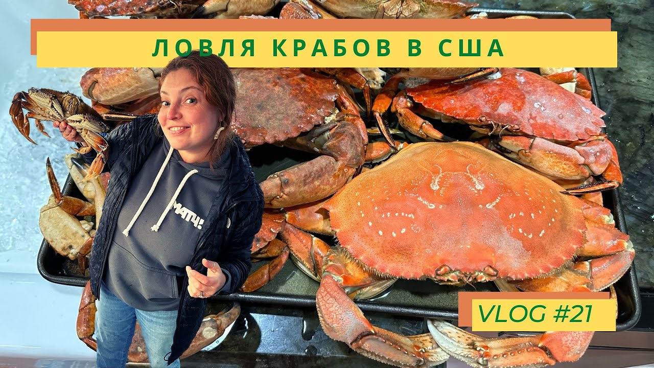 Vlog #21 Ловля крабов в США