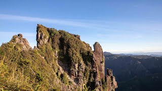Kauaeranga Kauri Trail (Pinnacles tramp) Coromandel Forest Park New Zealand