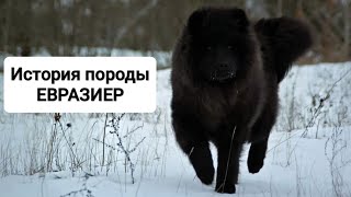 :    