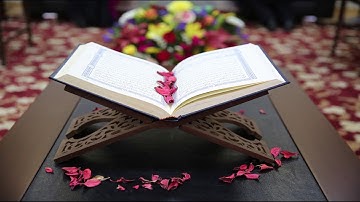 يا أيها الذين آمنوا لا تدخلوا بيوتا غير بيوتكم حتى تستأنسوا وتسلموا على أهلها   سورة النور آية 27