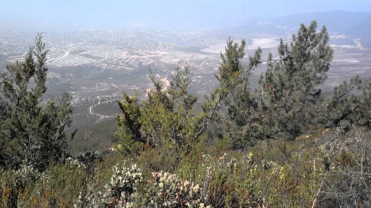 Ensenada. Bosque de las Attenuatas. Final Feliz ensenada cruise