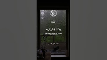 سورة نوح راشد العفاسي -Surat Nuh Rashid el Afassi
