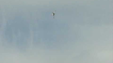 Trex 450 SE RC helicopter inverted hover