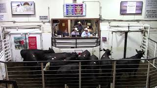 5-2-26  Top-Selling Bred Cow  $4,650  Thank You Virgil Farms