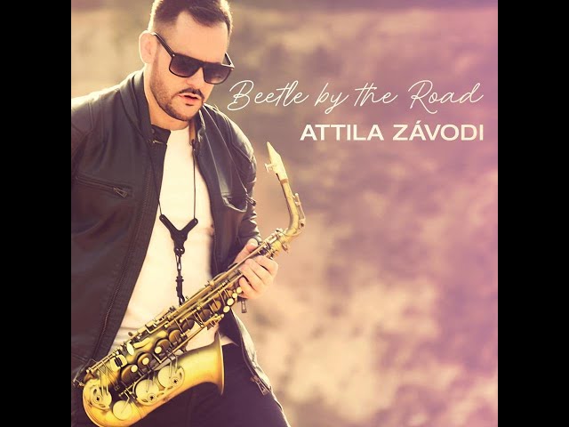 Attila Zavodi - Beetle by the Road