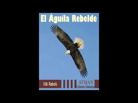 VM Rabolu -