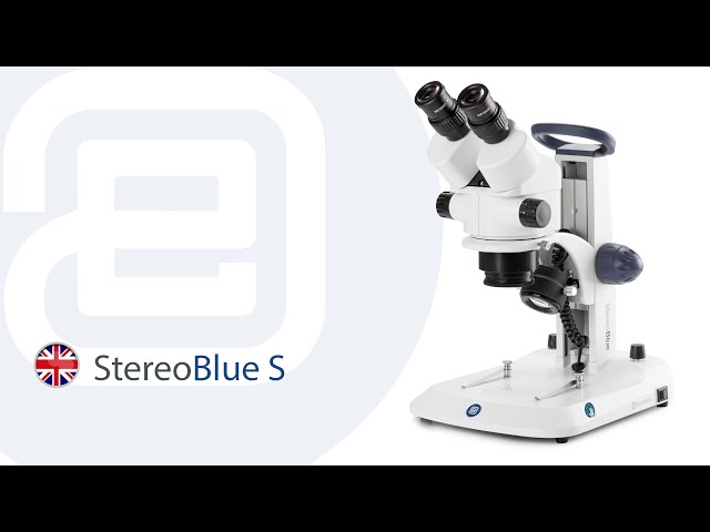 Euromex StereoBlue-S setup and tutorial