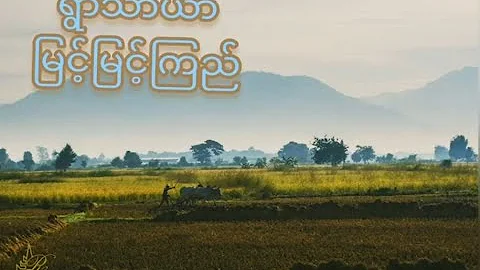 -  (Myint Myint Kyi)