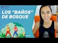 Las propiedades terapéuticas de los &quot;baños&quot; de bosque