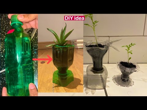 4 ideas for plastic bottle plants! Turn used plastic bottles into unique plants pots.