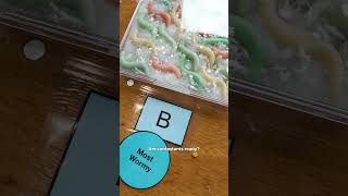 Competition Heats Up During Wormlympics