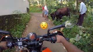 Pani Paali Cow Attack On Bike KTM Duke 250 Status