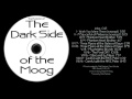 Klaus Schulze & Pete Namlook - The Evolution Of The Dark Side Of The Moog